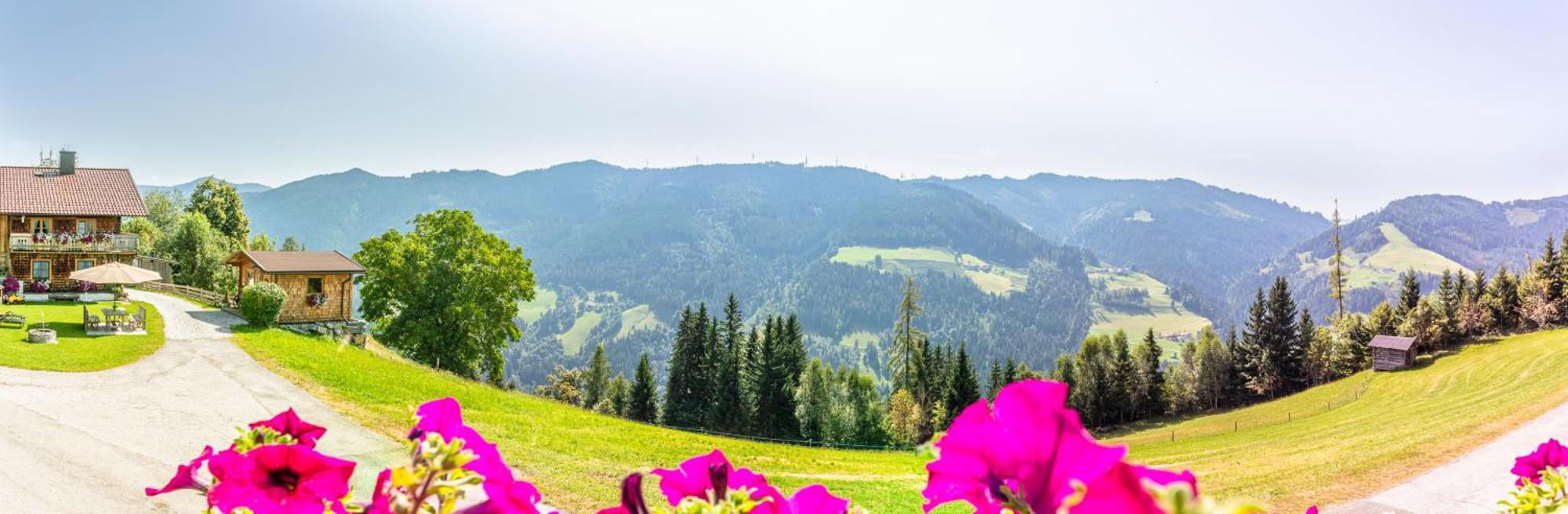 Landhaus Hochkoenig Muhlbach Am Hochkonig Bagian luar foto
