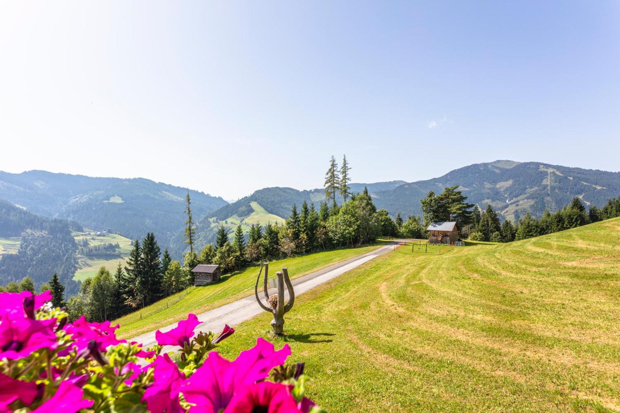 Landhaus Hochkoenig Muhlbach Am Hochkonig Bagian luar foto