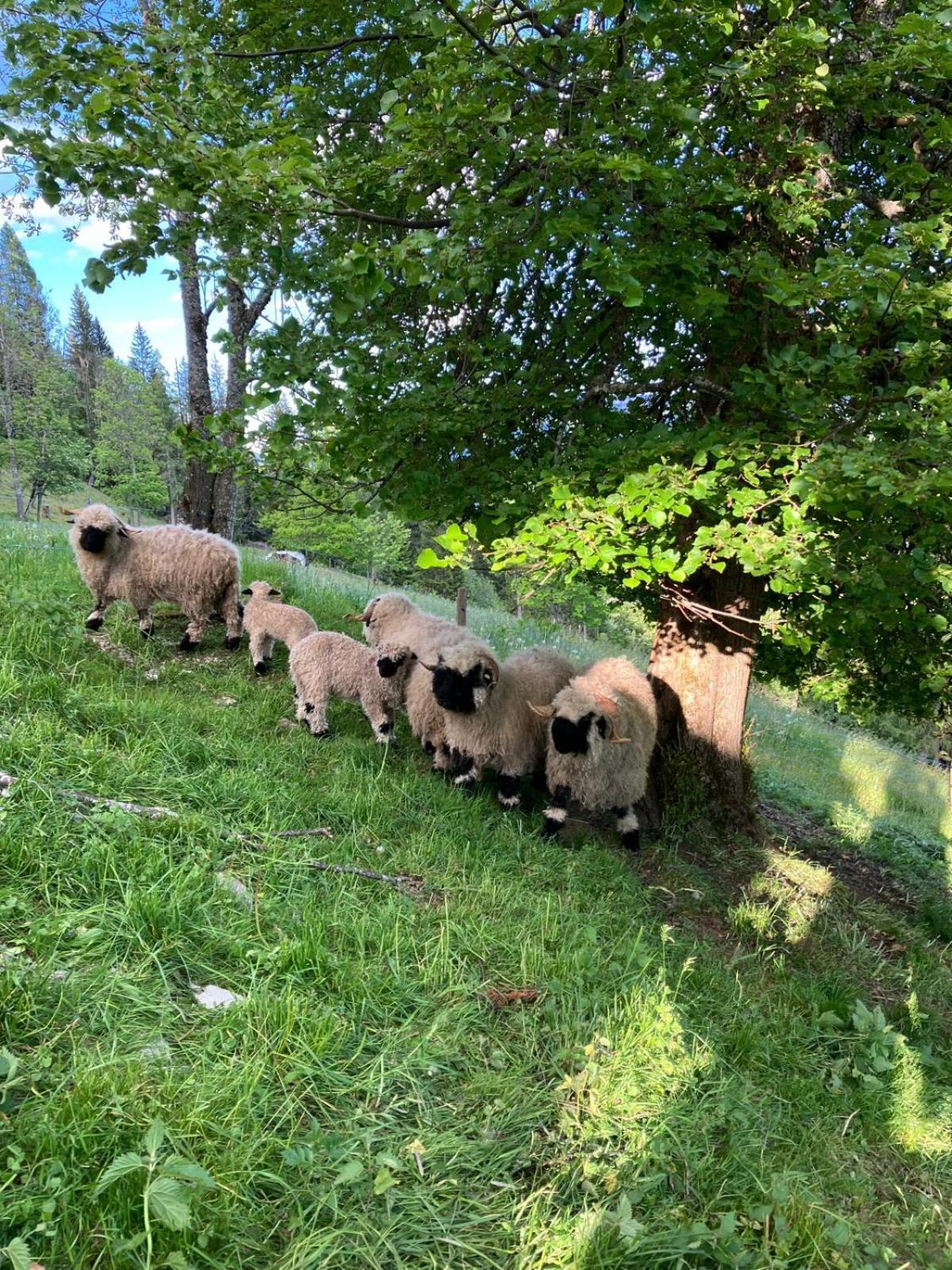 Landhaus Hochkoenig Muhlbach Am Hochkonig Bagian luar foto